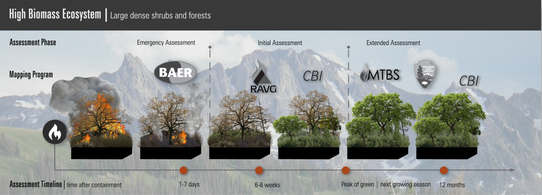 MTBS Timeline for High Biomass Ecosystem